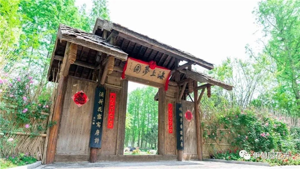 上海｜親自體驗(yàn)中國(guó)花卉界的“奧林匹克”盛宴！