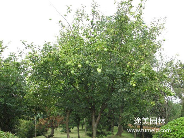 http://www.vr59.cn/ch/30.html