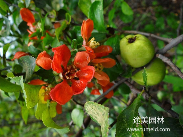 http://www.vr59.cn/ch/30.html