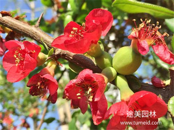 http://www.vr59.cn/ch/30.html