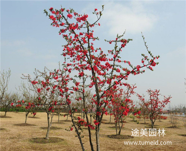 http://www.vr59.cn/ch/30.html